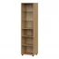 Гостиная "Милан" Дуб Золотой/Олива софт